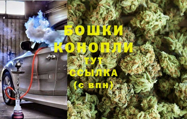 индика Богородицк